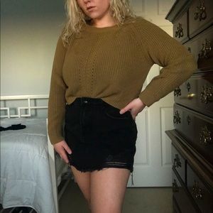 Olive green crop sweater